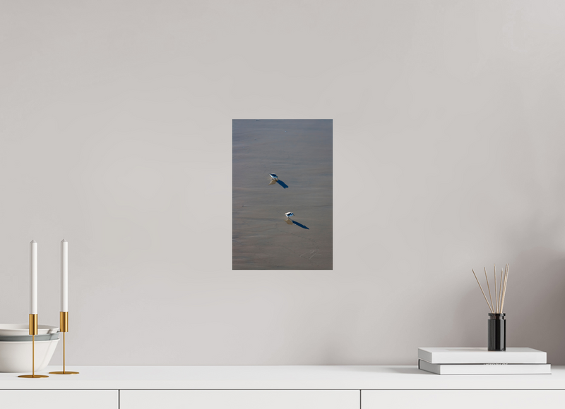 8 x 12″, PHOTO PRINT - FUJIFLEX HIGH GLOSS TWO BIRDS