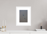 8 x 12″, FRAME - SOLID WOOD [FUJIFLEX] TWO BIRDS