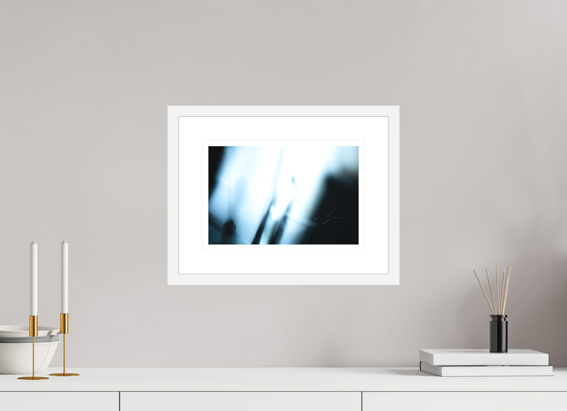 12 x 8″, FRAME - SOLID WOOD [FUJIFLEX] QUARANTINE, No.5