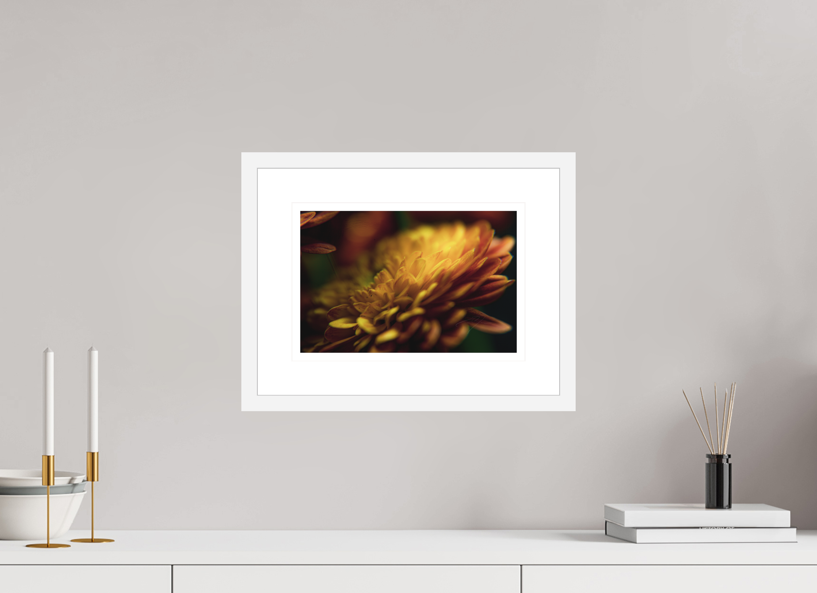 12 x 8″, FRAME - SOLID WOOD [FUJIFLEX] PETALS' GLOW