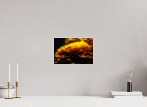 12 x 8″, PHOTO PRINT - FUJIFLEX HIGH GLOSS INCANDESCENCE