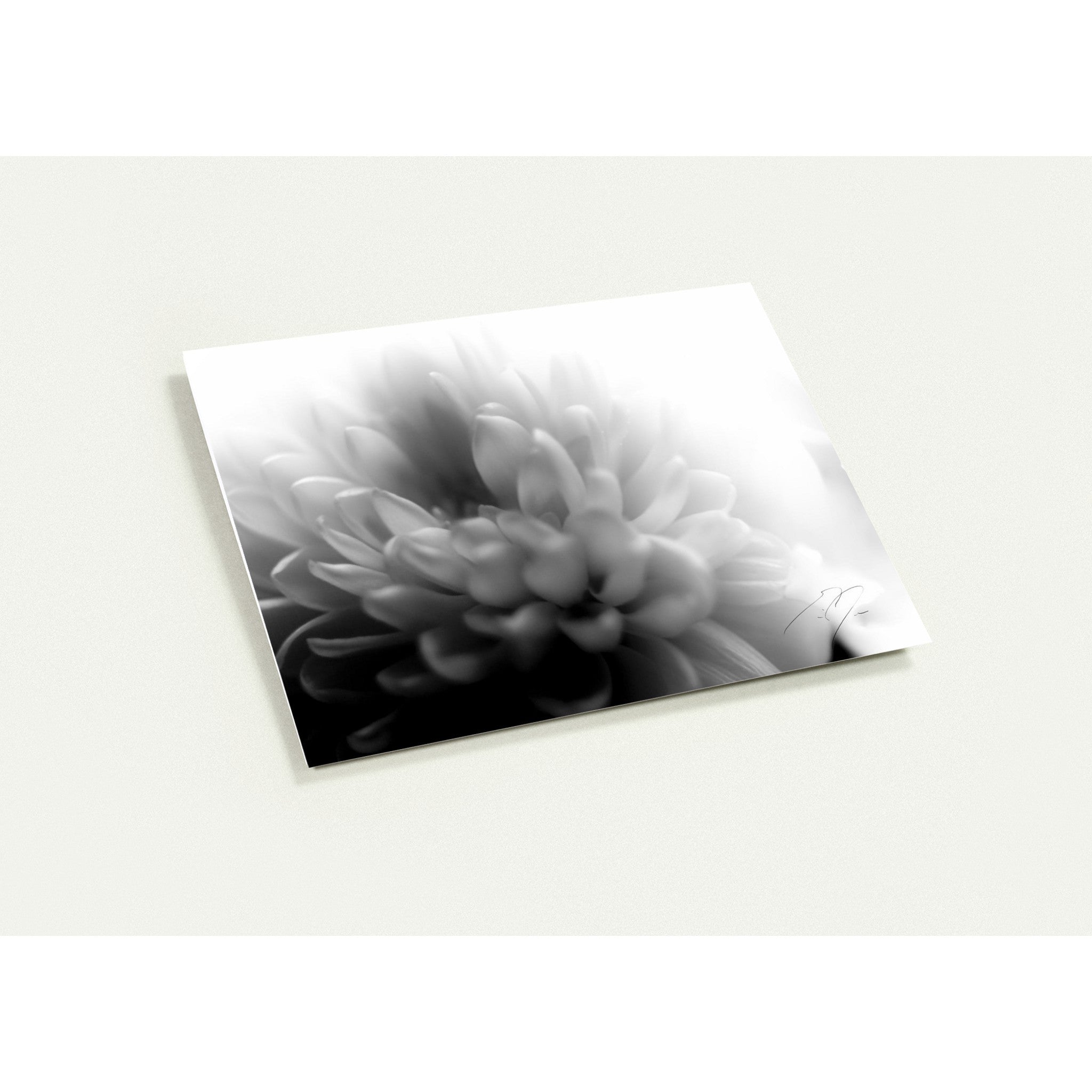 AFFABLE | Greeting Cards