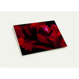 ARDENCY | Greeting Cards