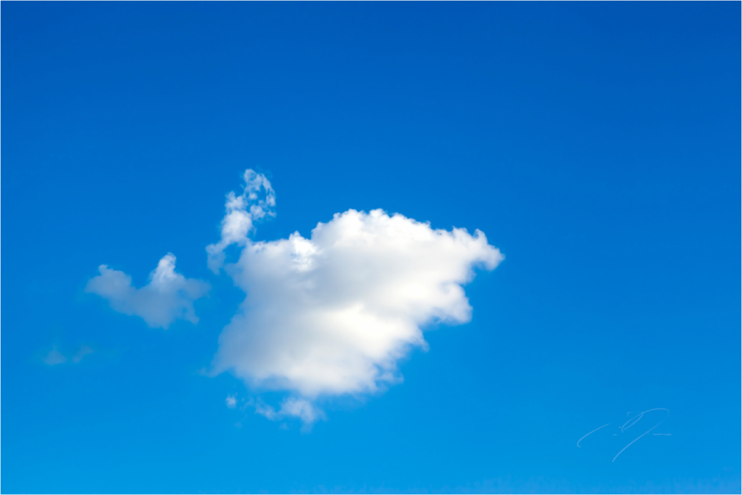 A SINGLE CLOUD (2014)