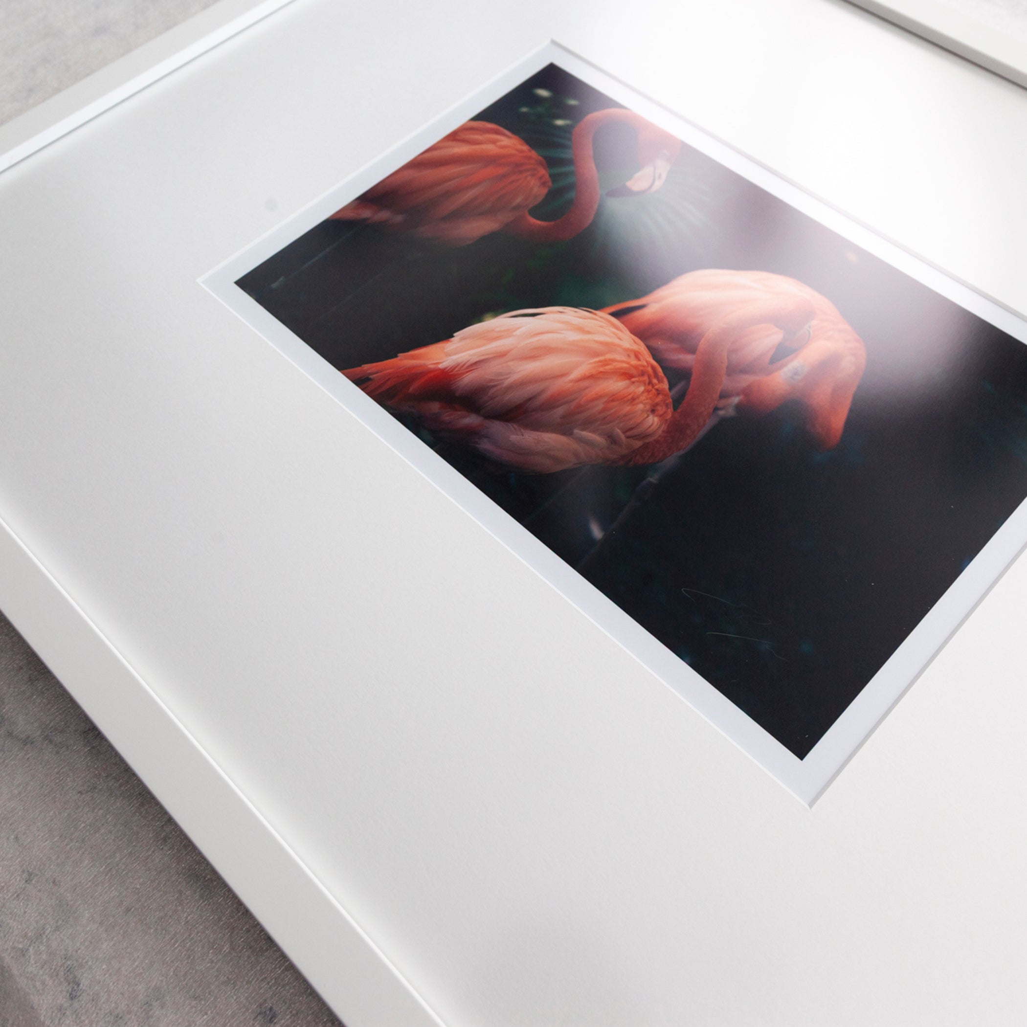 A square white picture frame or mat board with a printed photograph of two pink flamingos in the center, photographed at an angle on a gray surface.