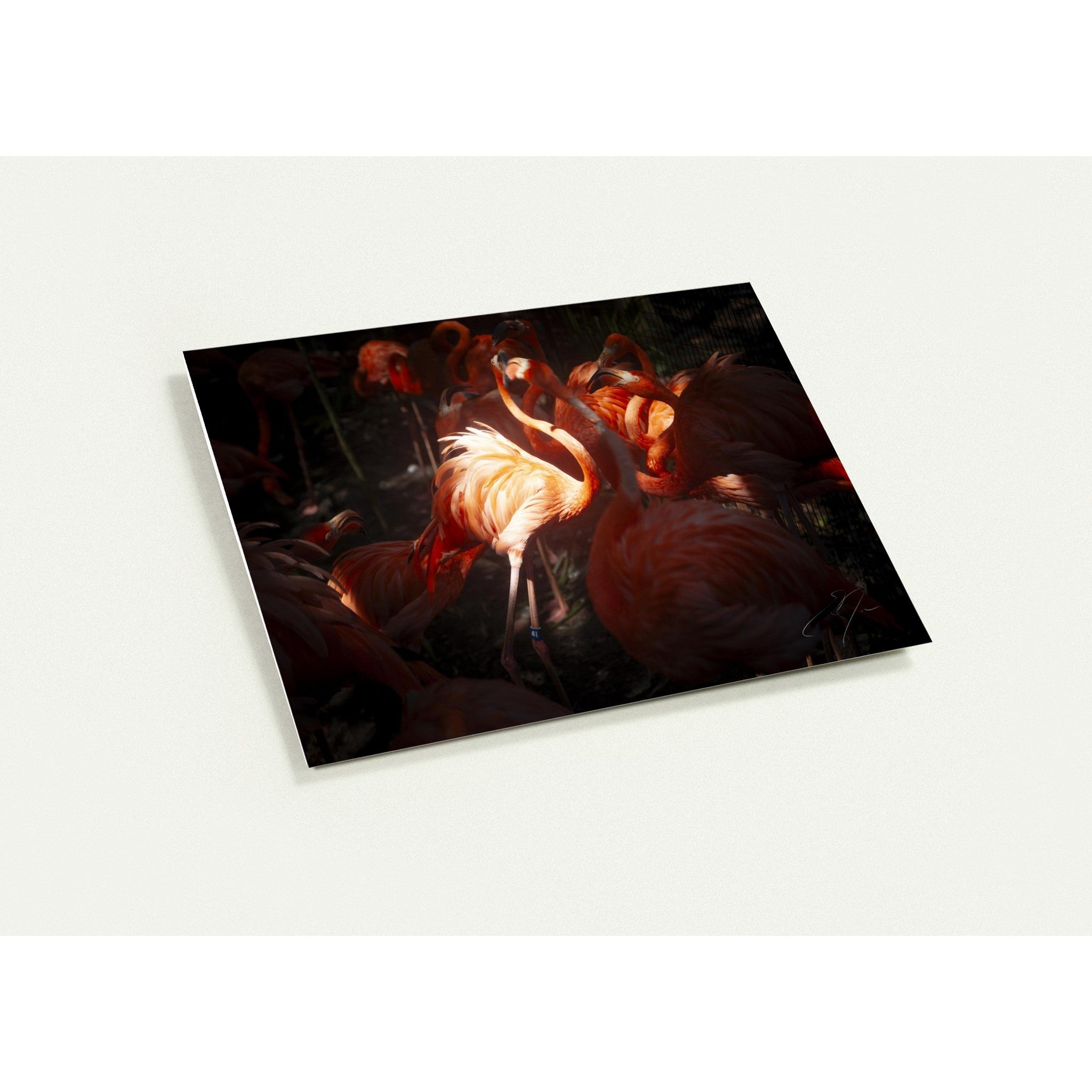 CENTER OF ATTENTION | Greeting Cards