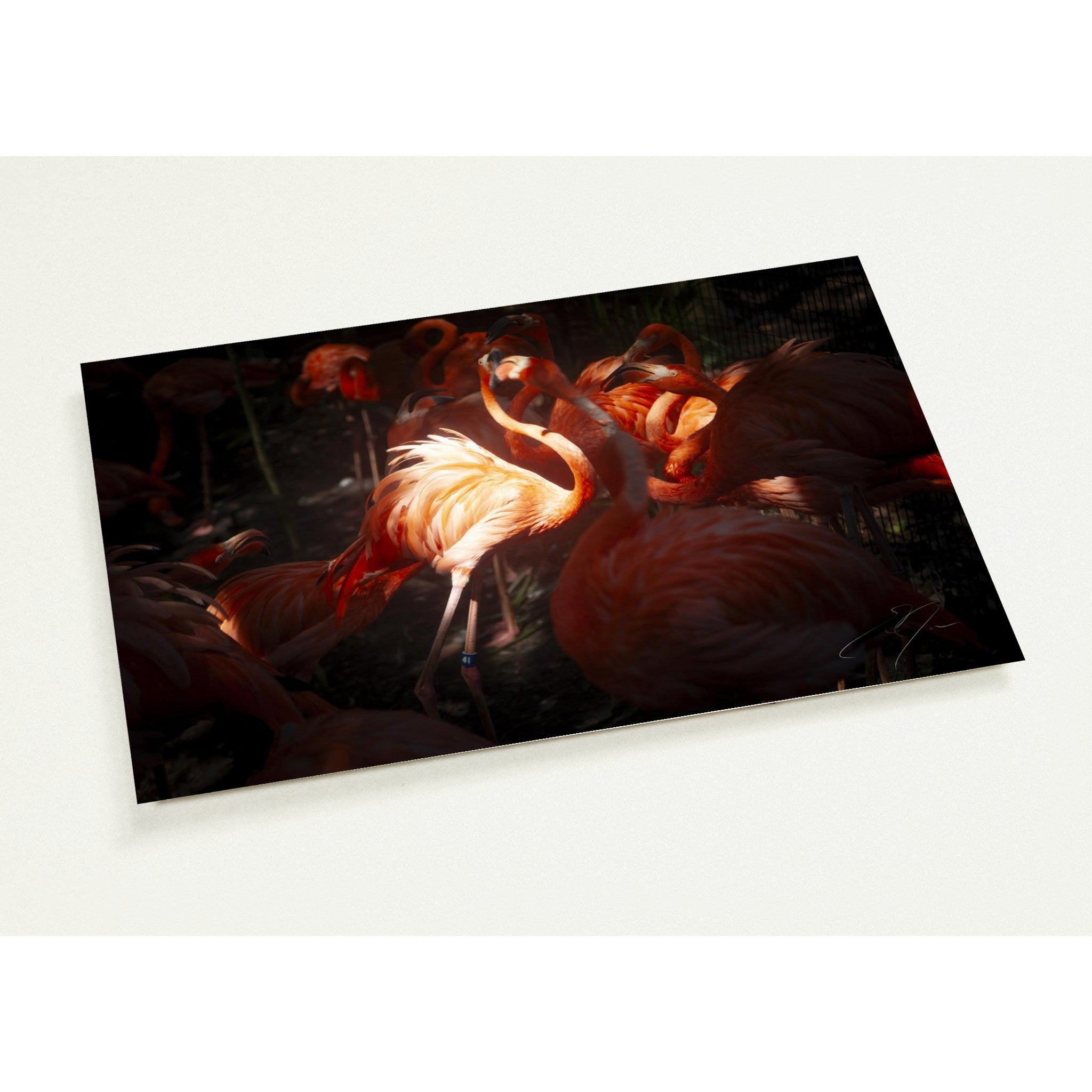 CENTER OF ATTENTION | Postcards