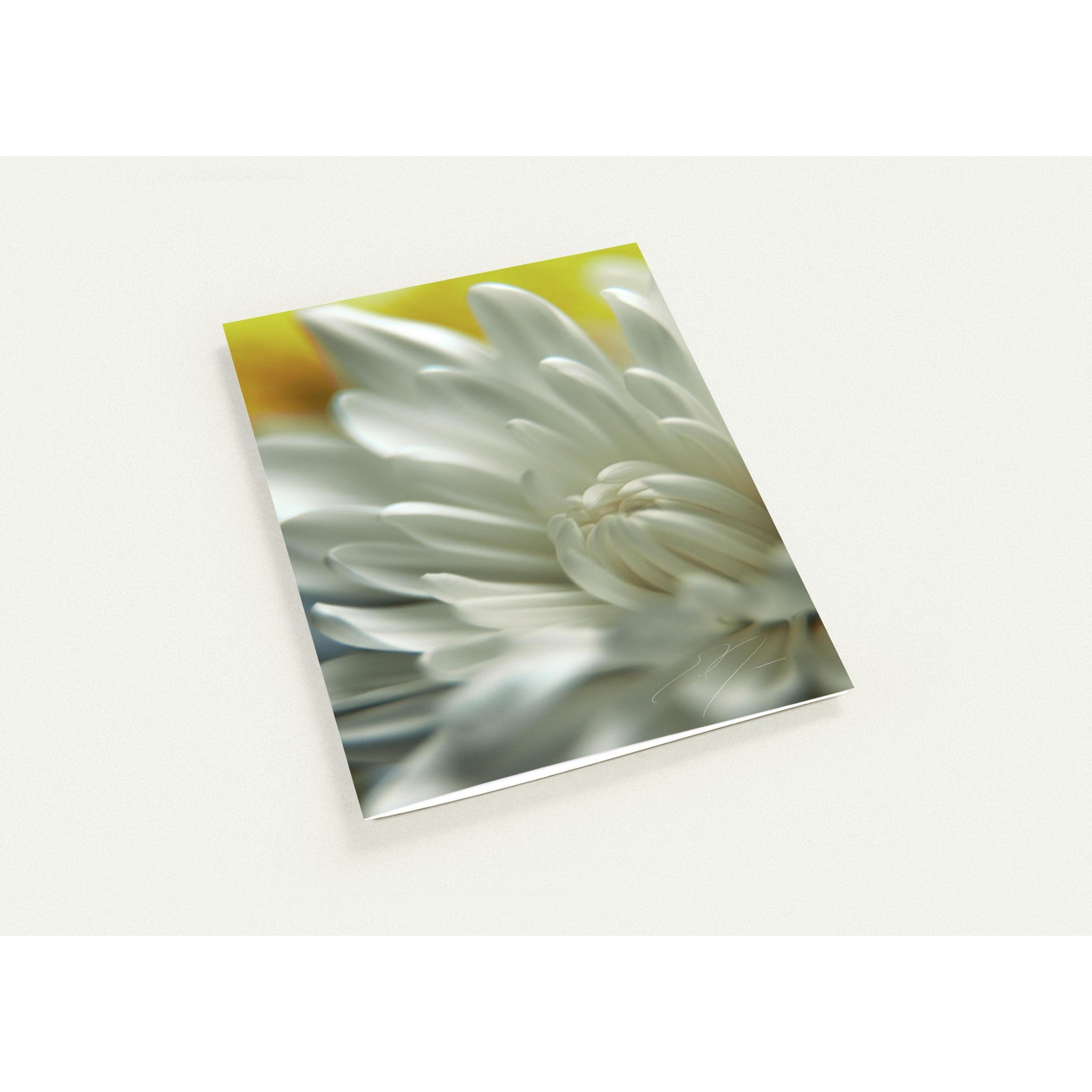 CERTITUDE | Greeting Cards