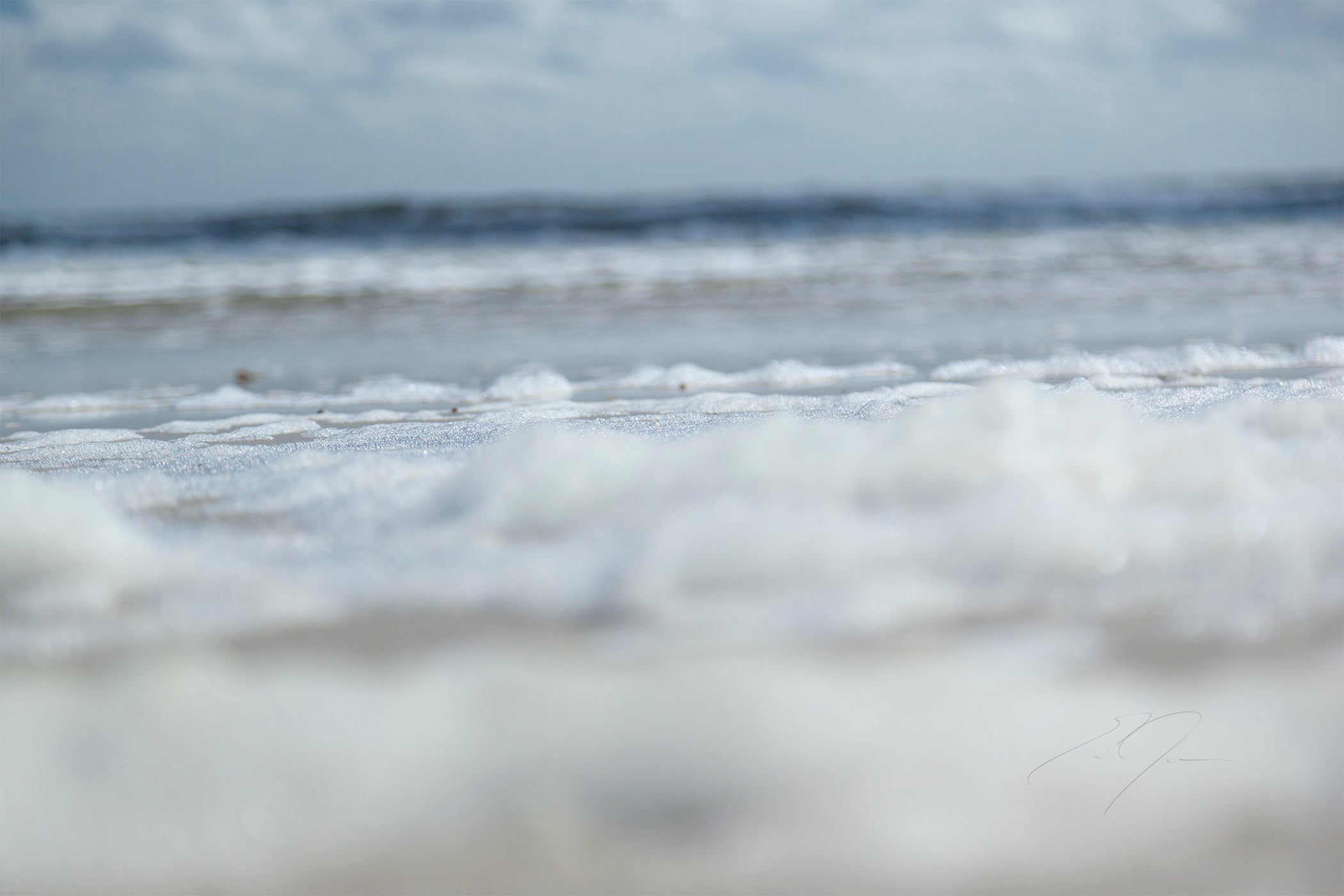 COASTAL (2019)