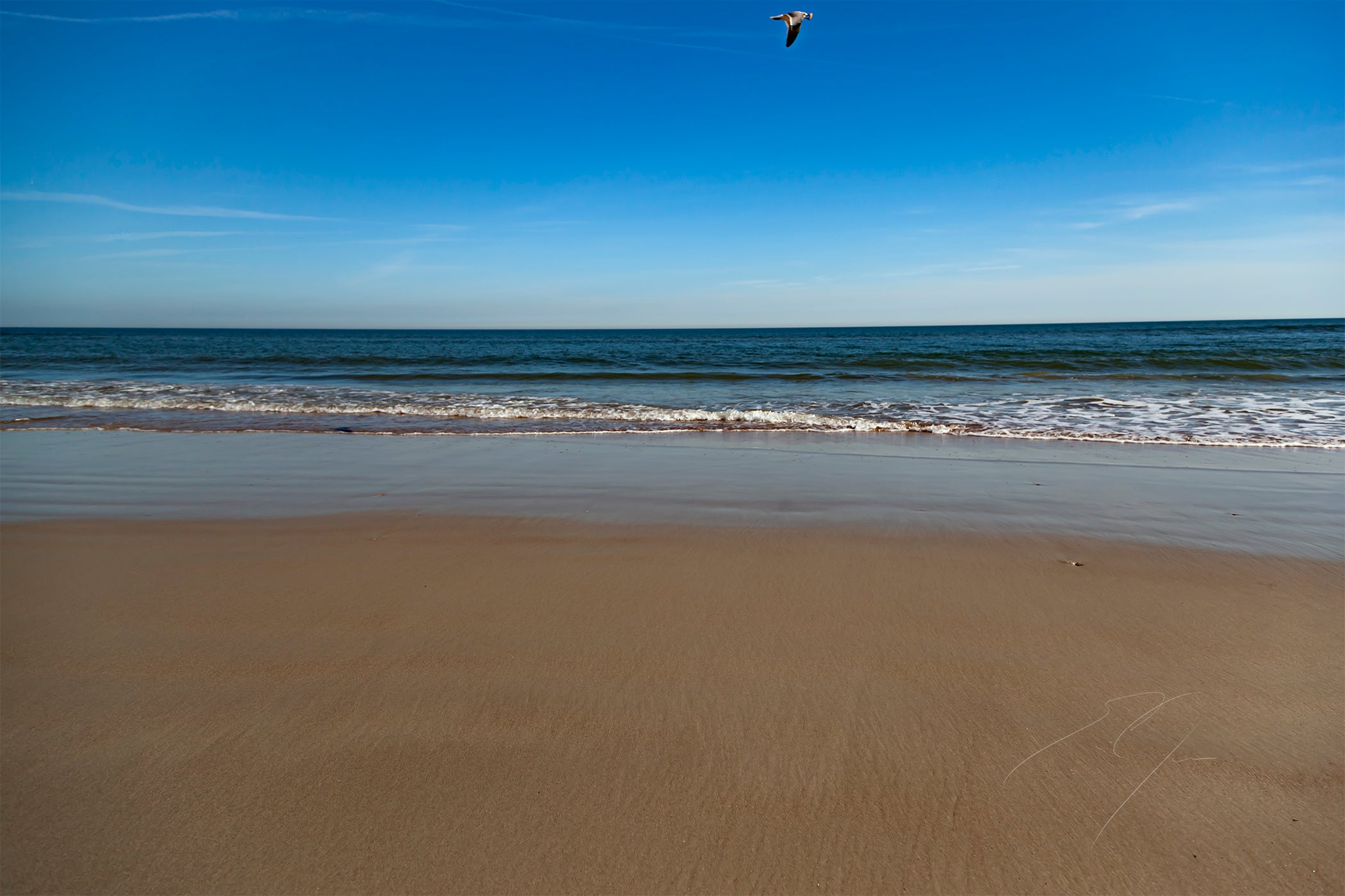 COASTAL FLIGHT (2019)
