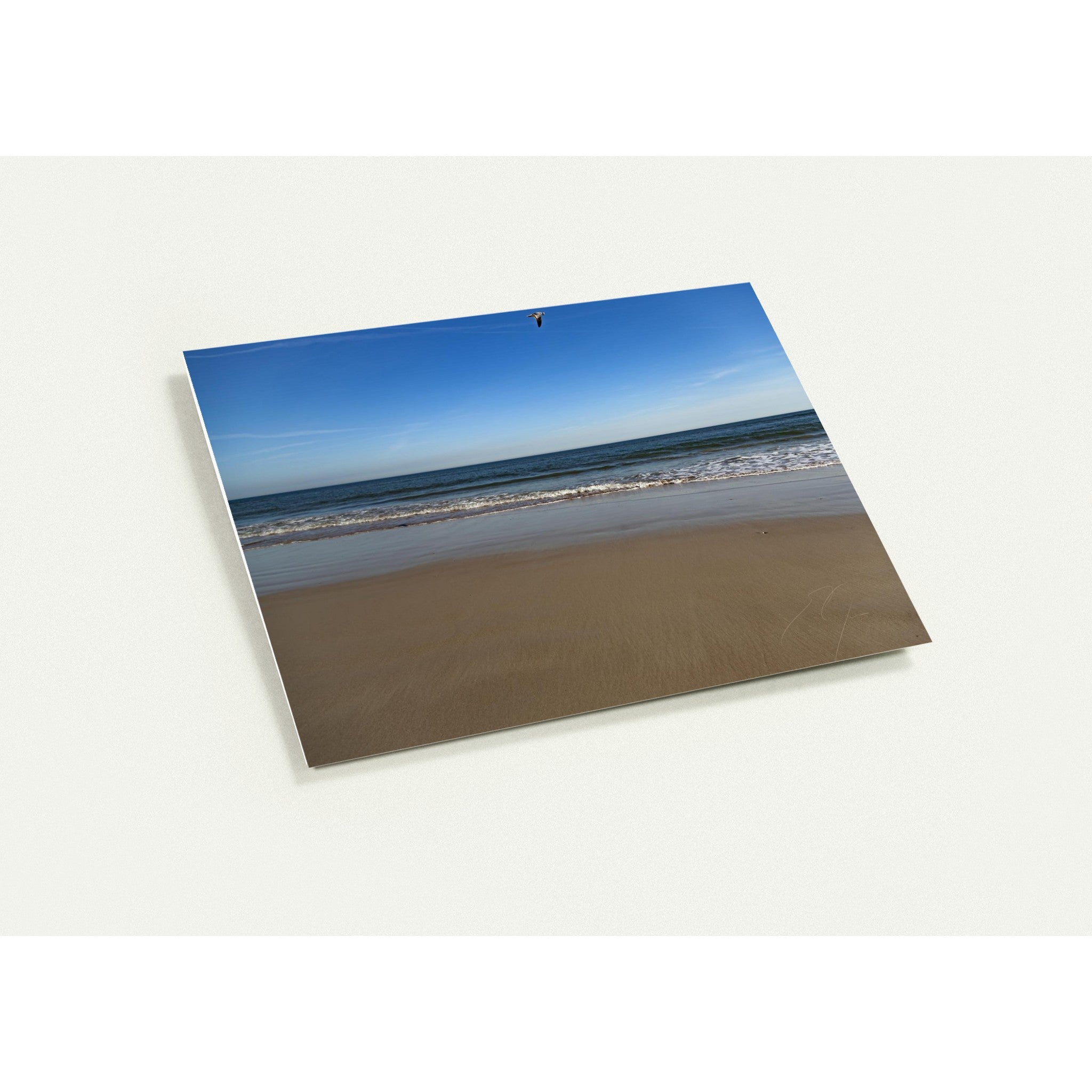 COASTAL FLIGHT | Greeting Cards