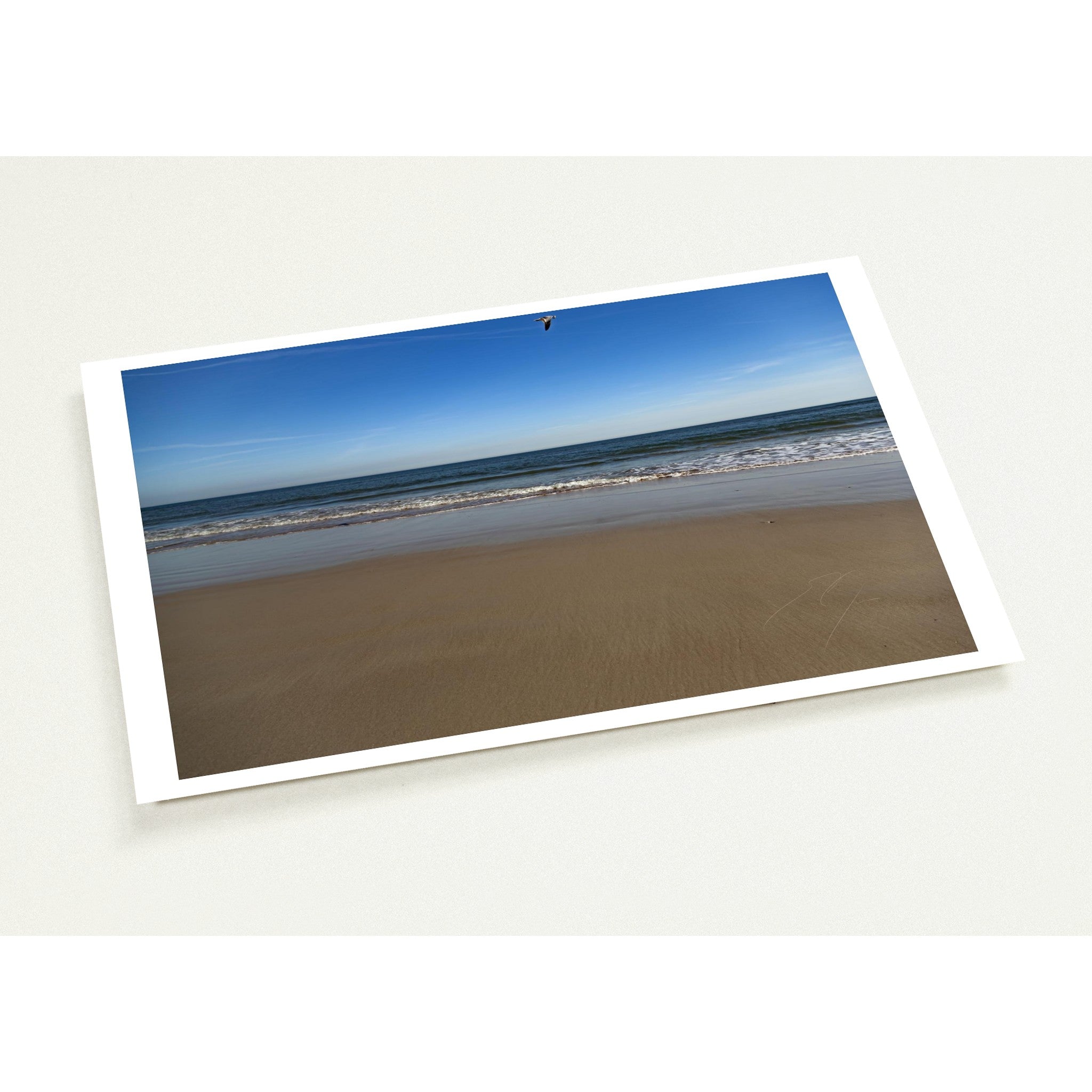 COASTAL FLIGHT | Postcards