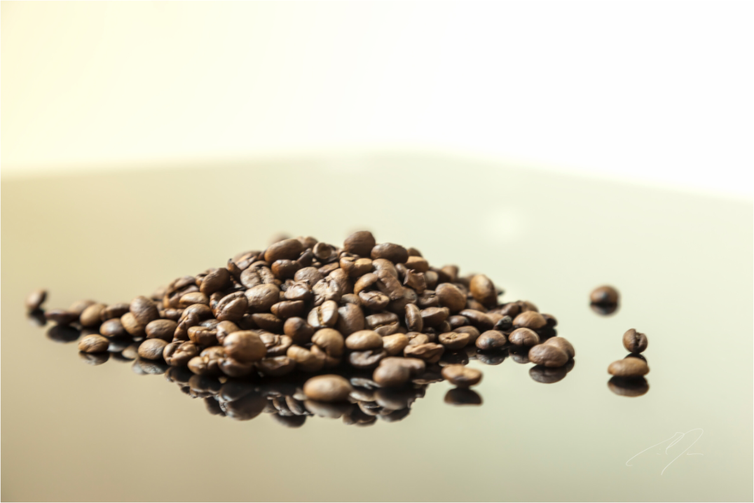 COFFEE BEANS, No.2 (2017)