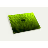 COME TO LIFE | Greeting Cards