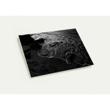 COME TO SHORE | Greeting Cards