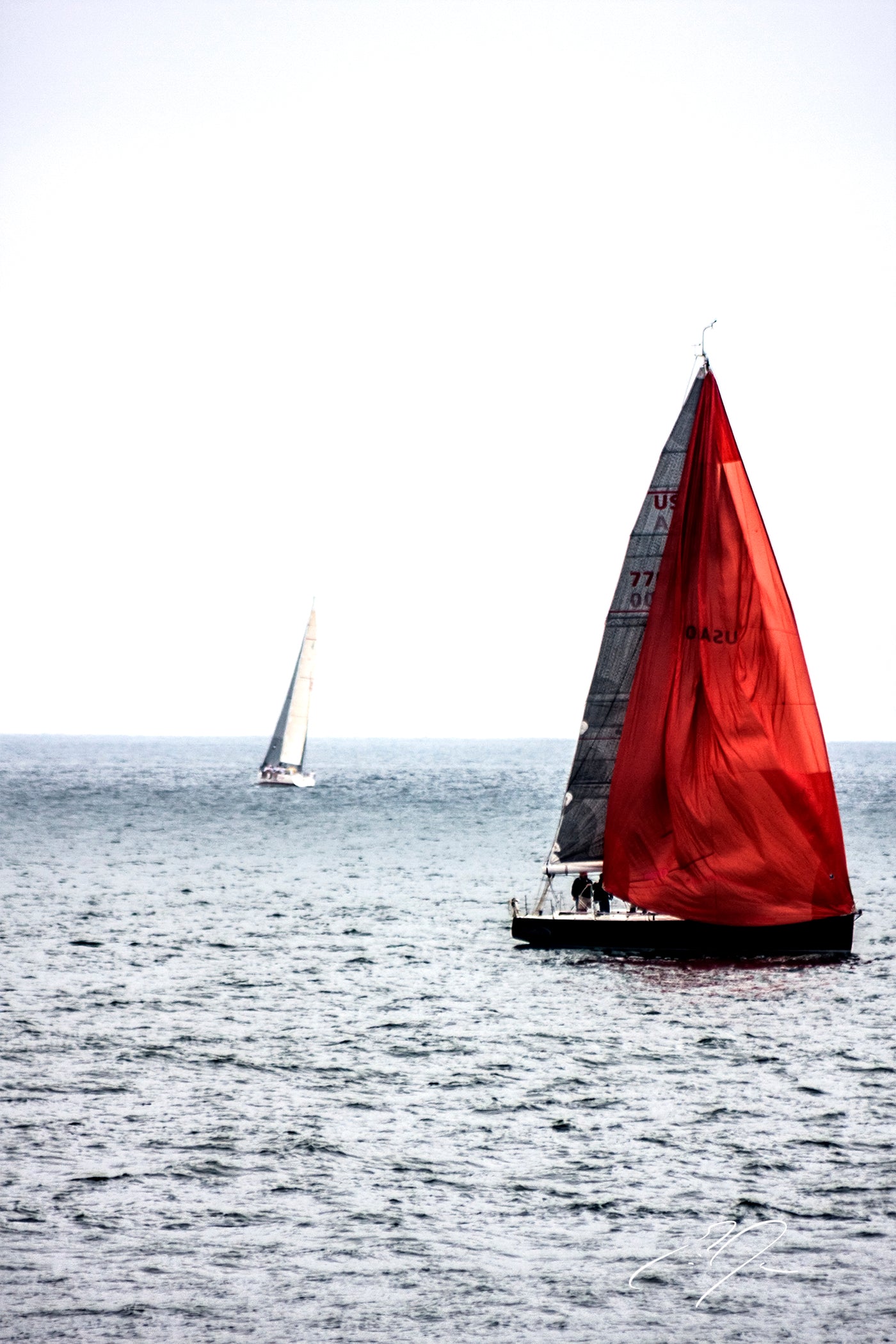 DREAM OF RED (2009)