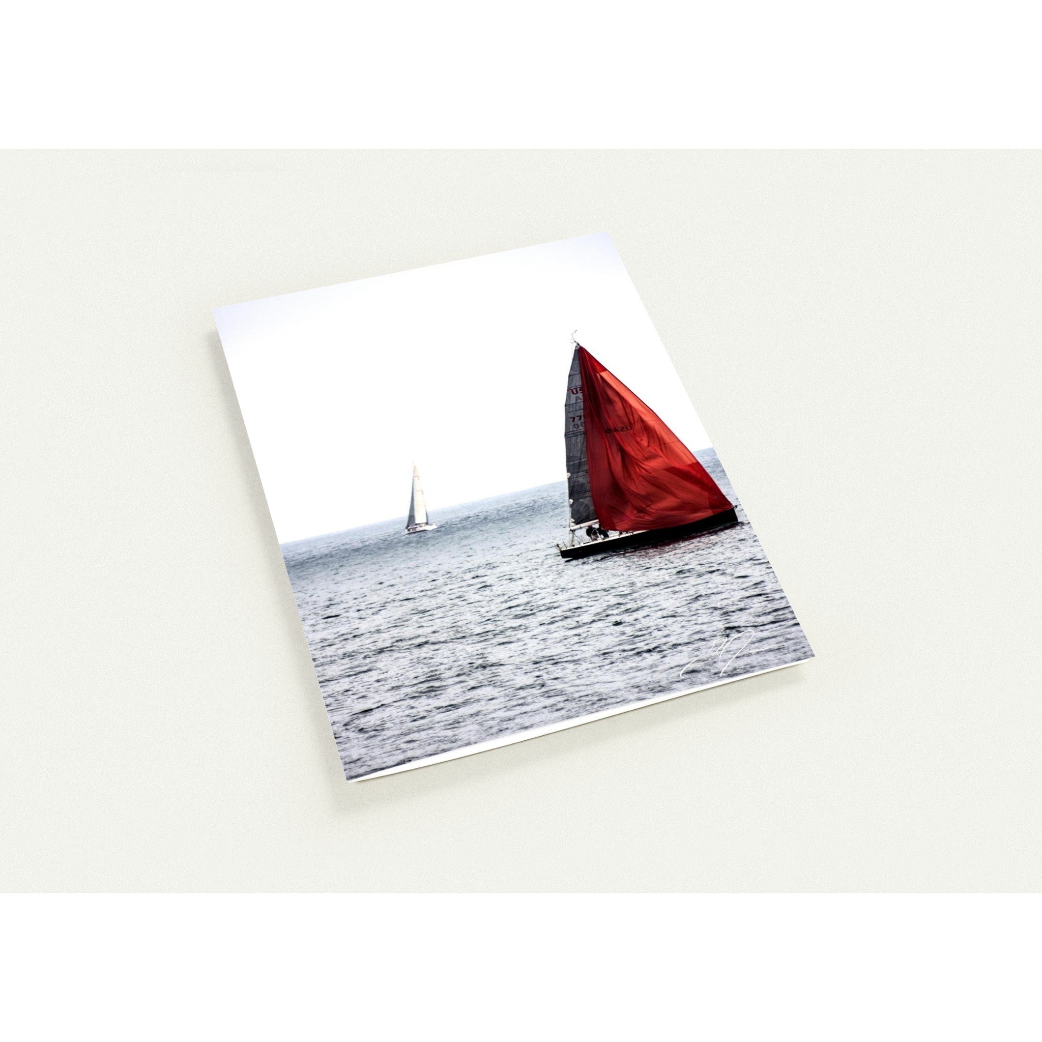 DREAM OF RED | Greeting Cards