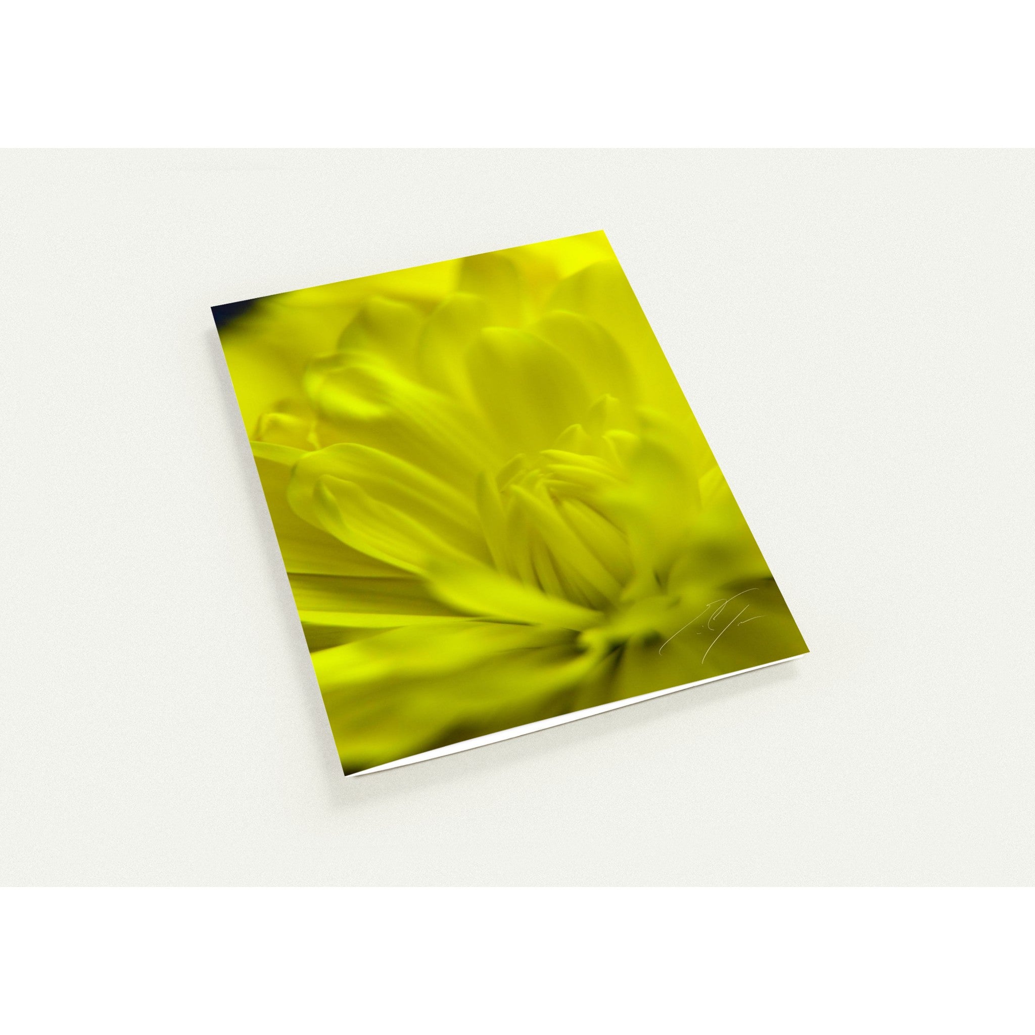 ELATION | Greeting Cards