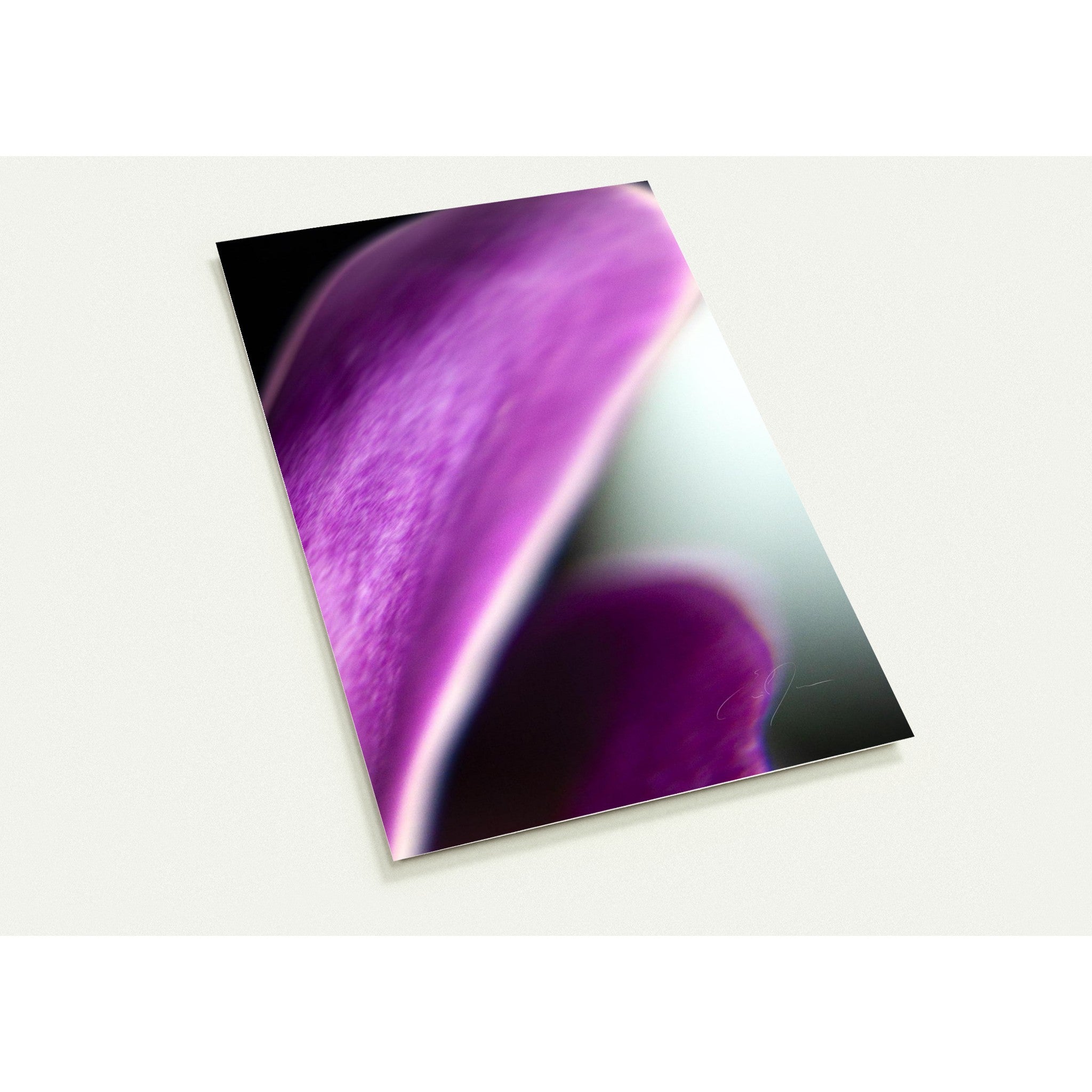 EPHEMERAL | Postcards