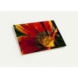 FALL IN LOVE | Greeting Cards