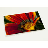 FALL IN LOVE | Postcards