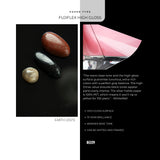 FUJIFLEX High Gloss Description