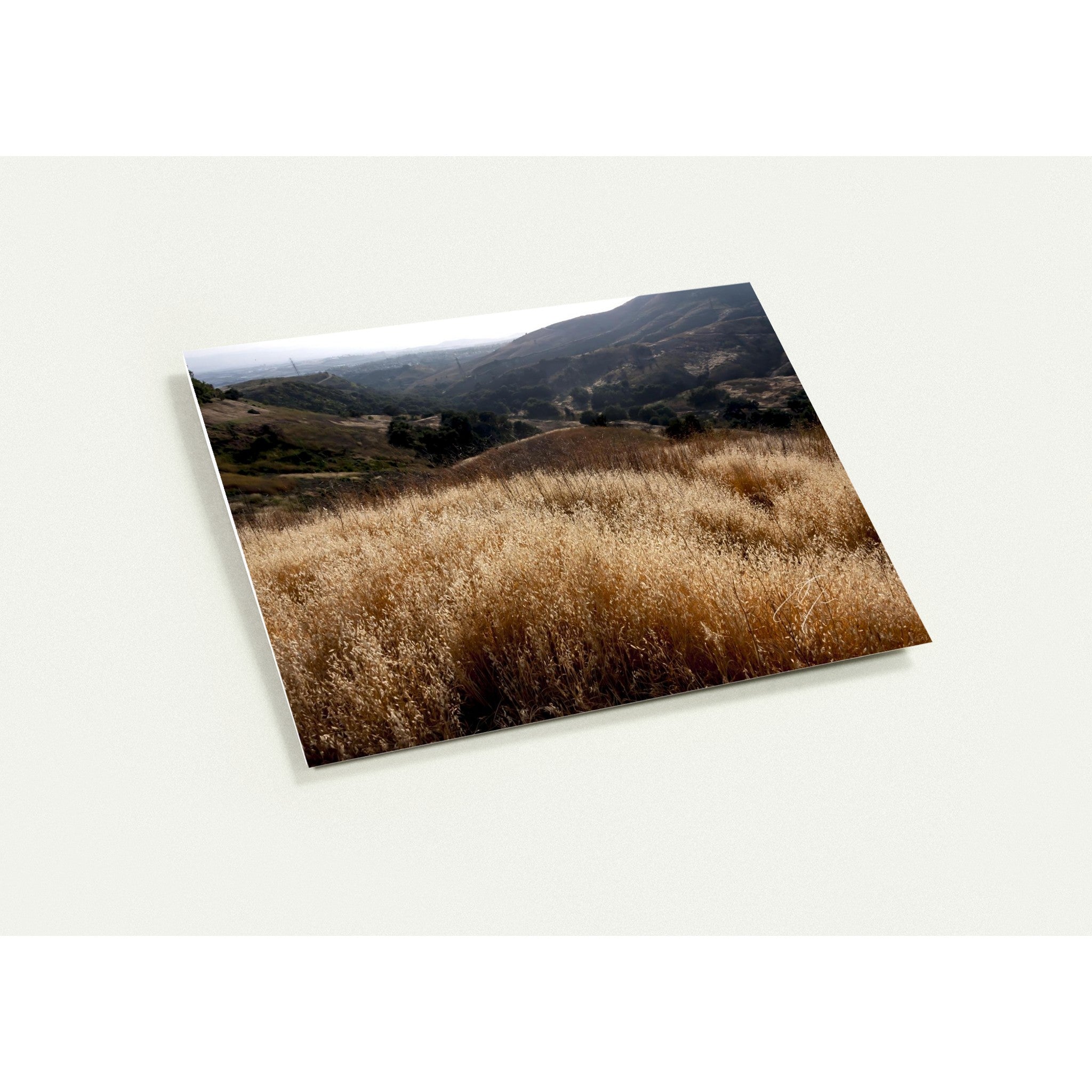 GOLDEN | Greeting Cards