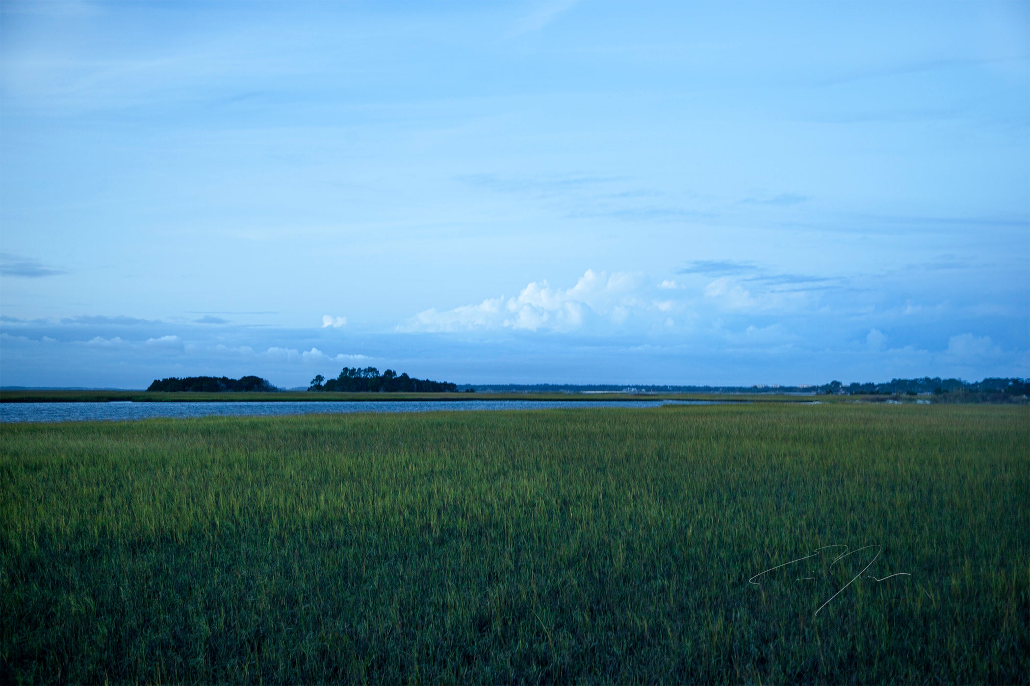 GREEN PASTURE (2020)