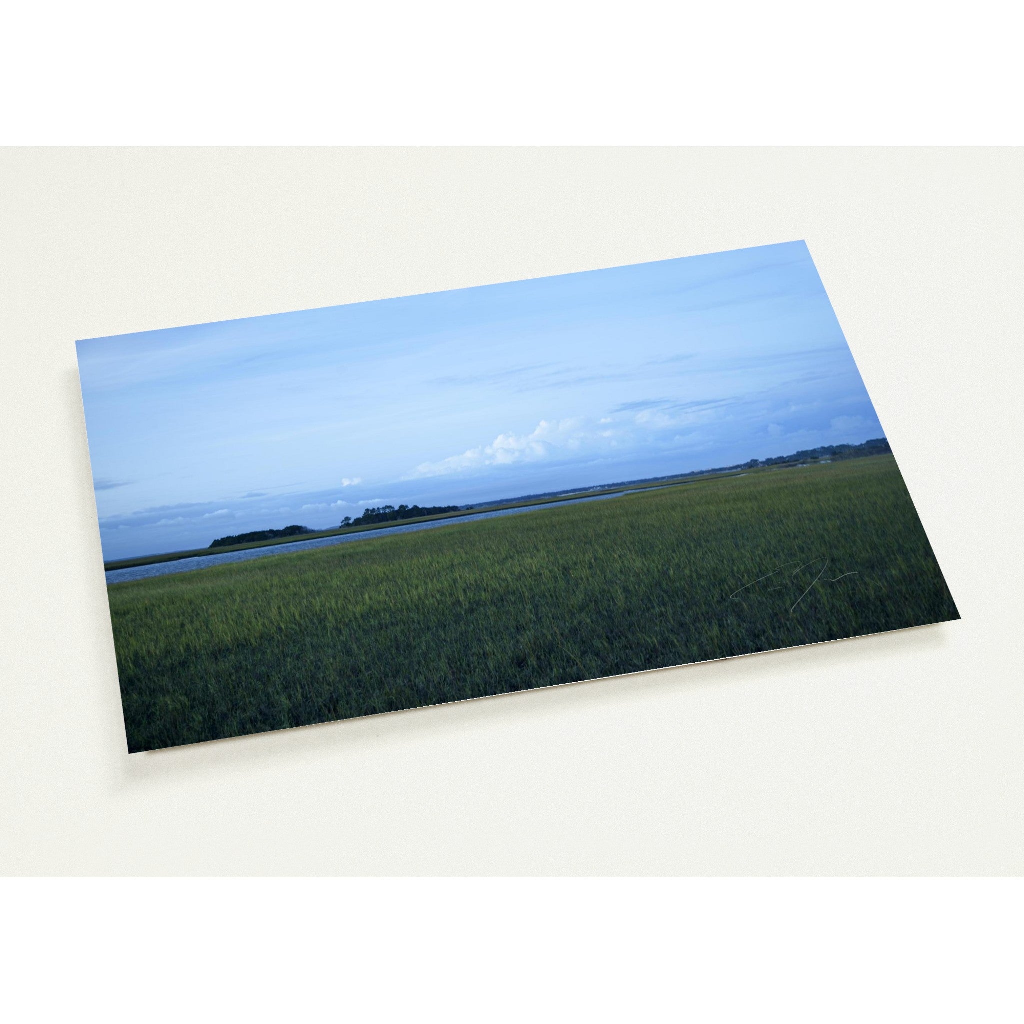 GREEN PASTURE | Postcards