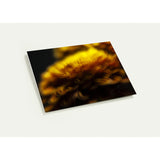 INCANDESCENCE | Greeting Cards
