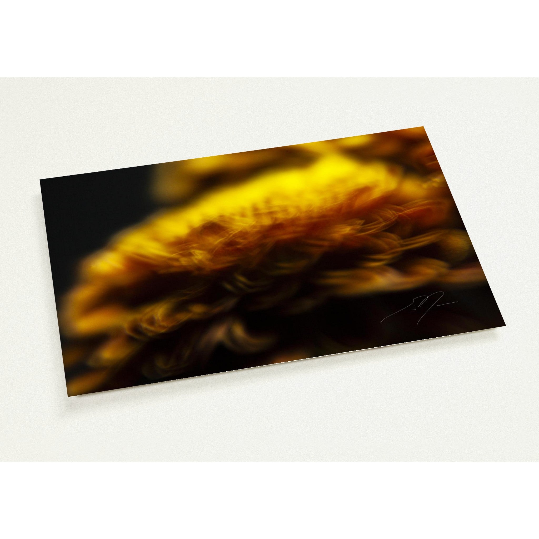 INCANDESCENCE | Postcards