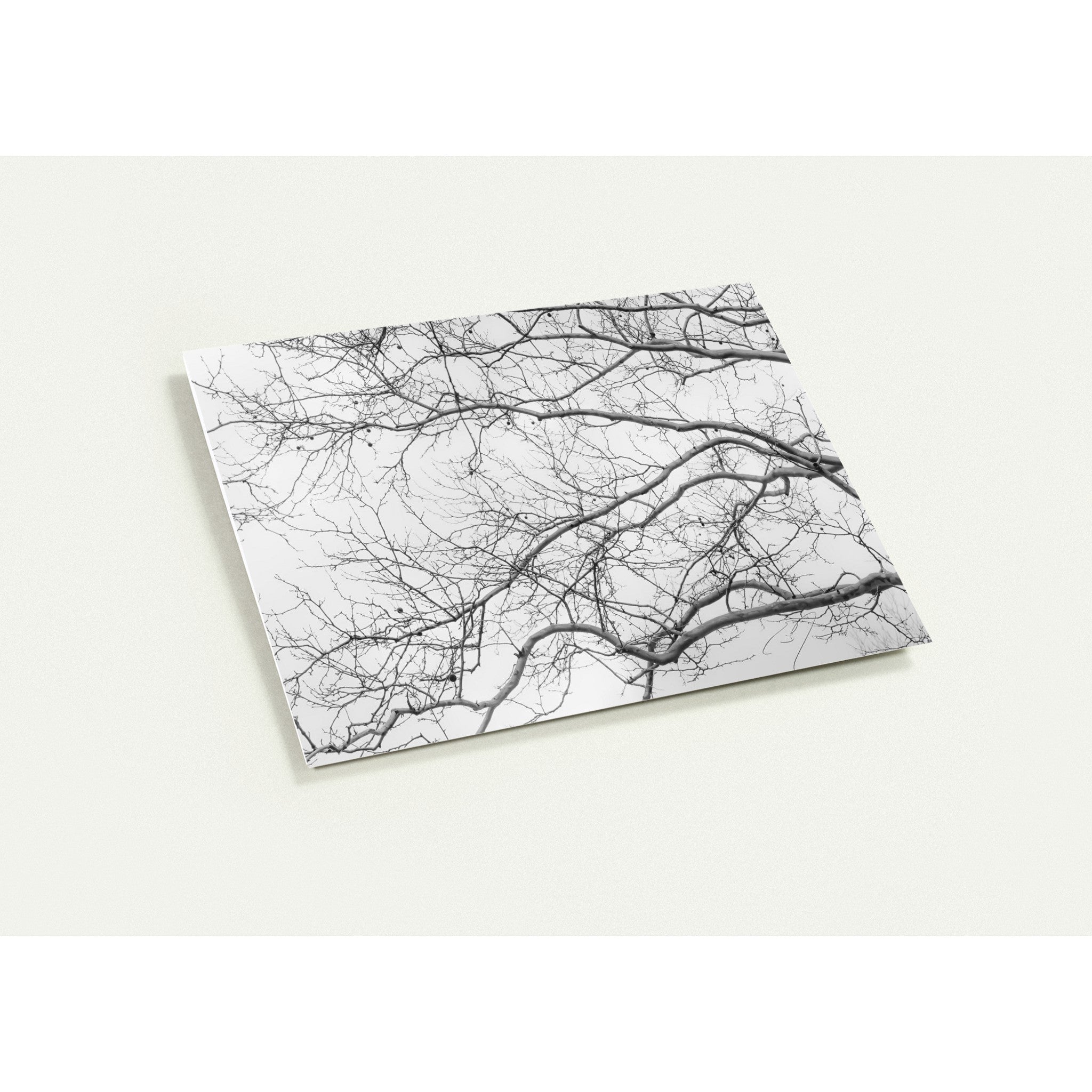 INTERTWINED | Greeting Cards