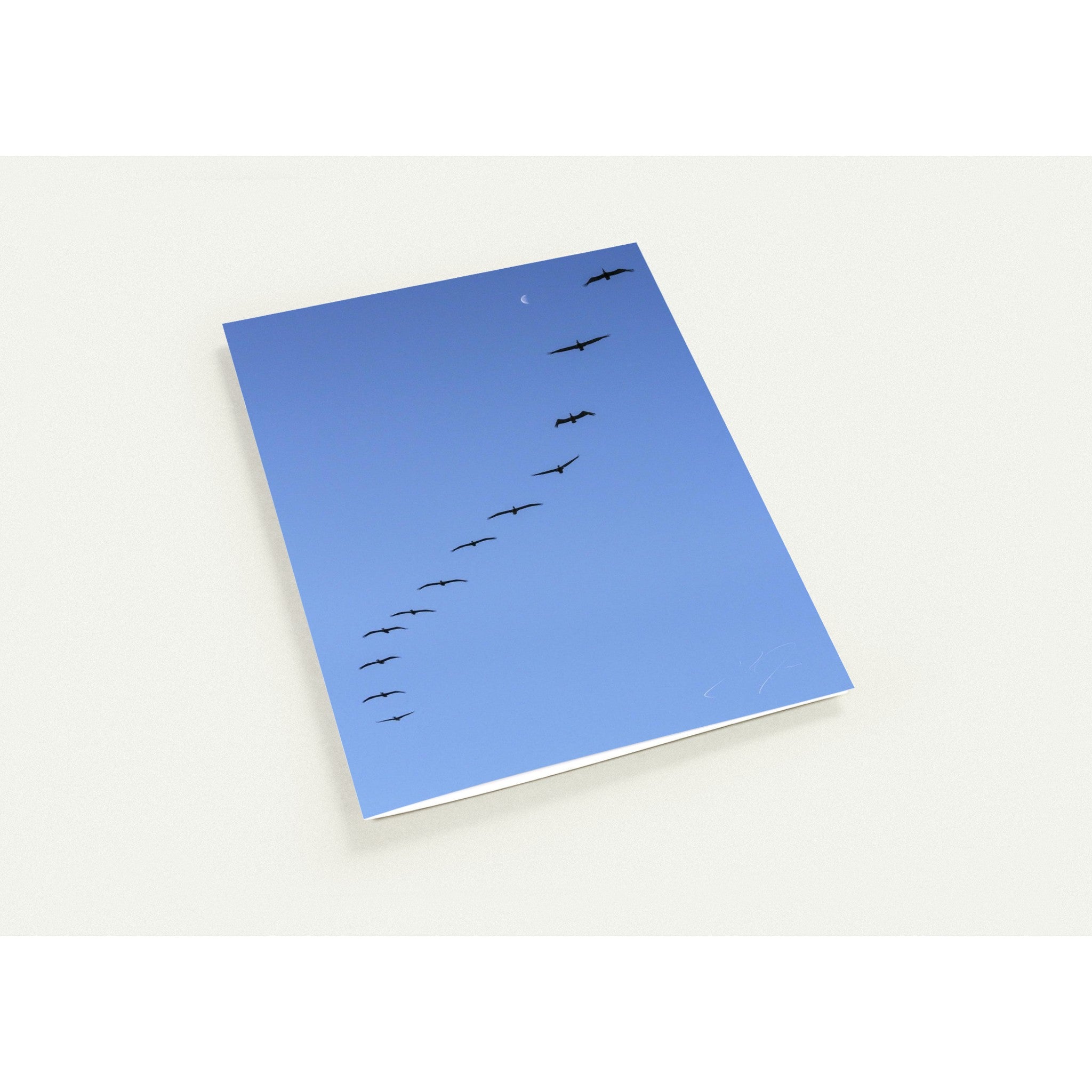 IN RHYTHM | Greeting Cards