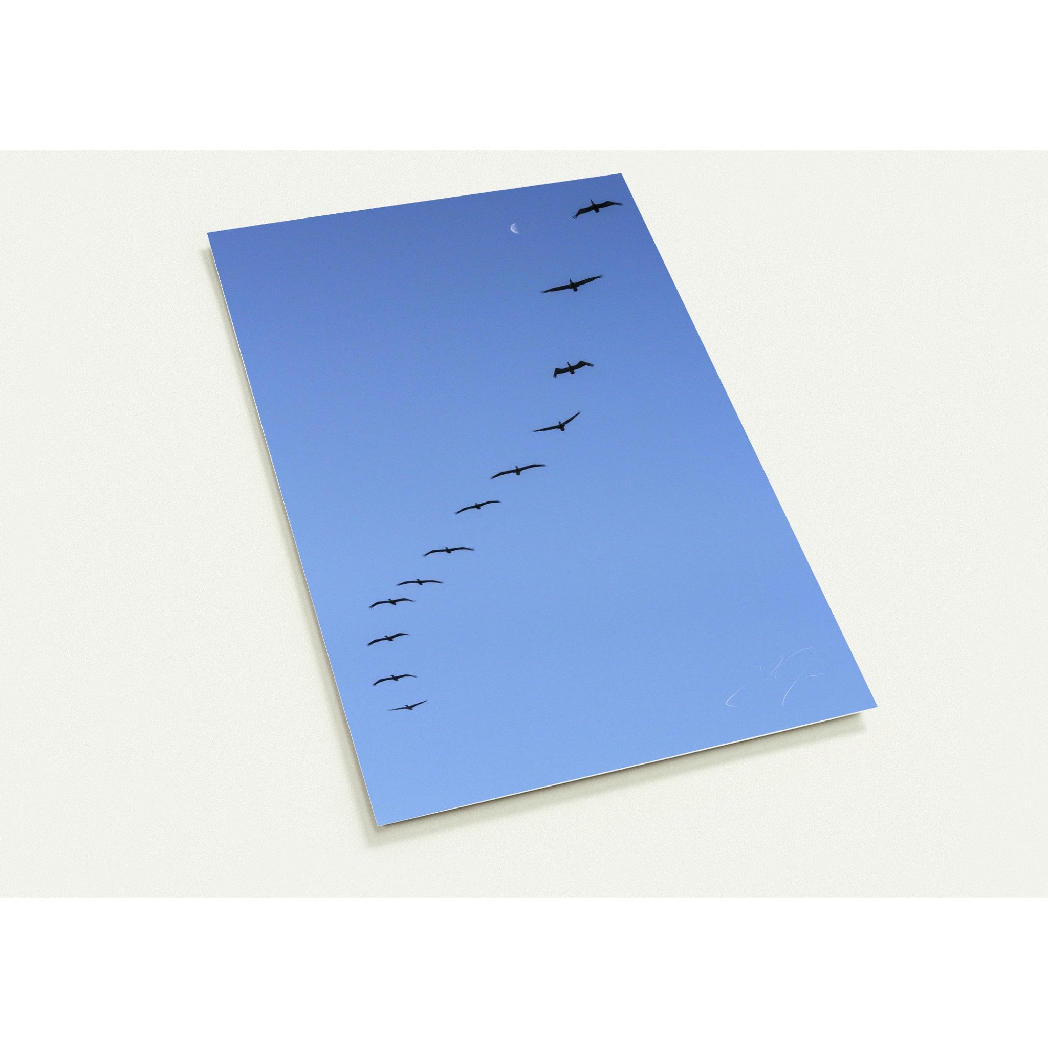 IN RHYTHM | Postcards
