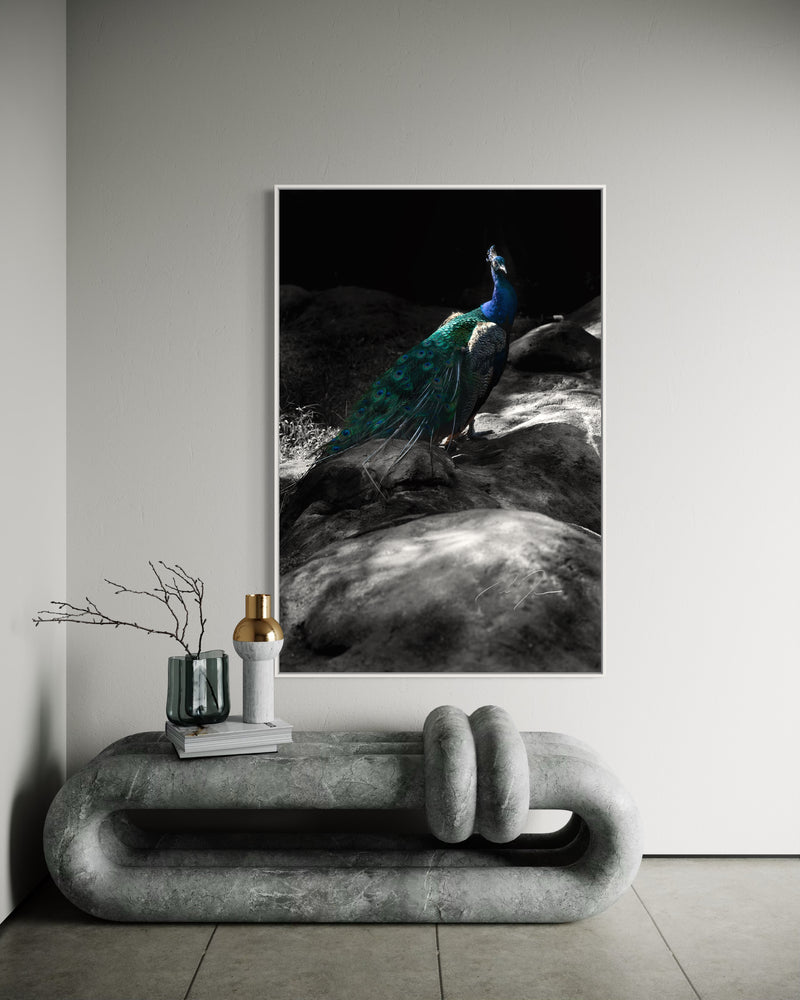 Main image EXPOSITION