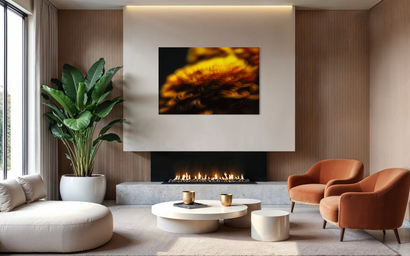 Main image INCANDESCENCE