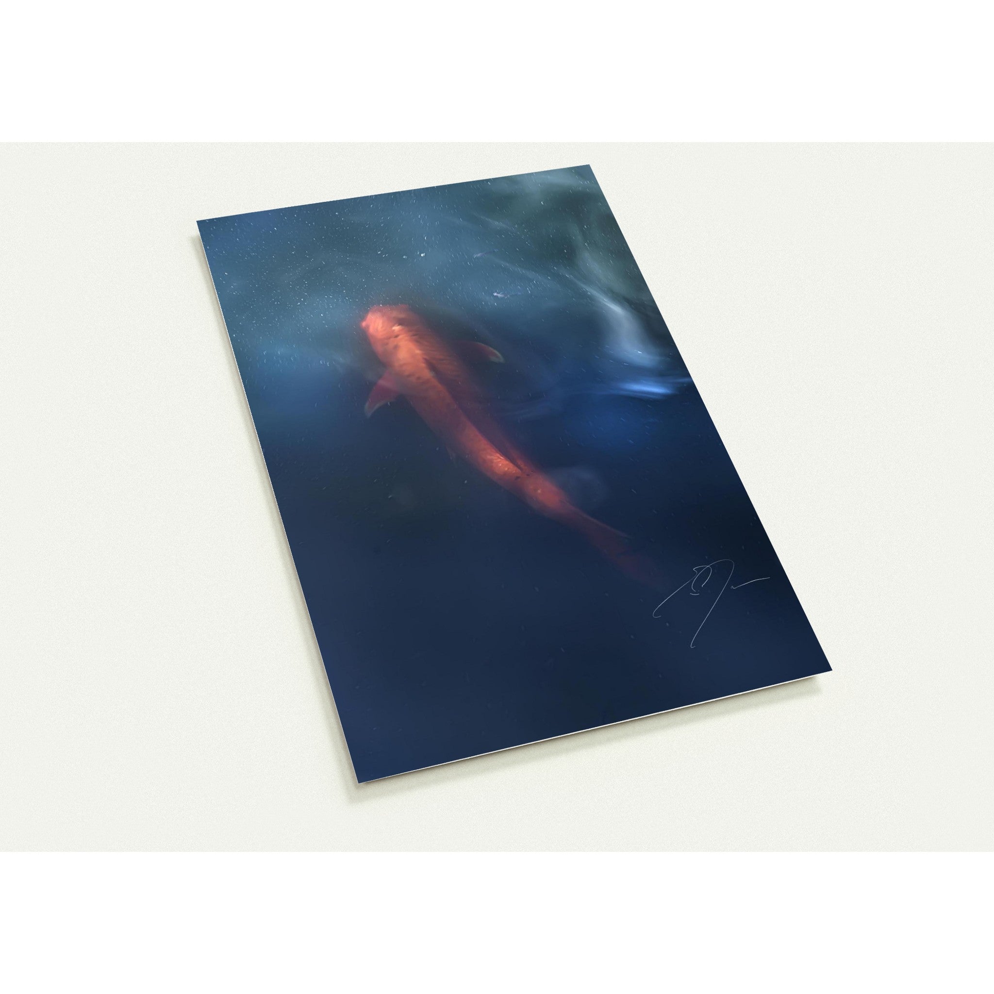 KOI | Postcards