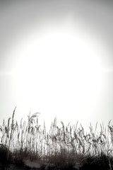 LIGHT'S TOUCH (2018)