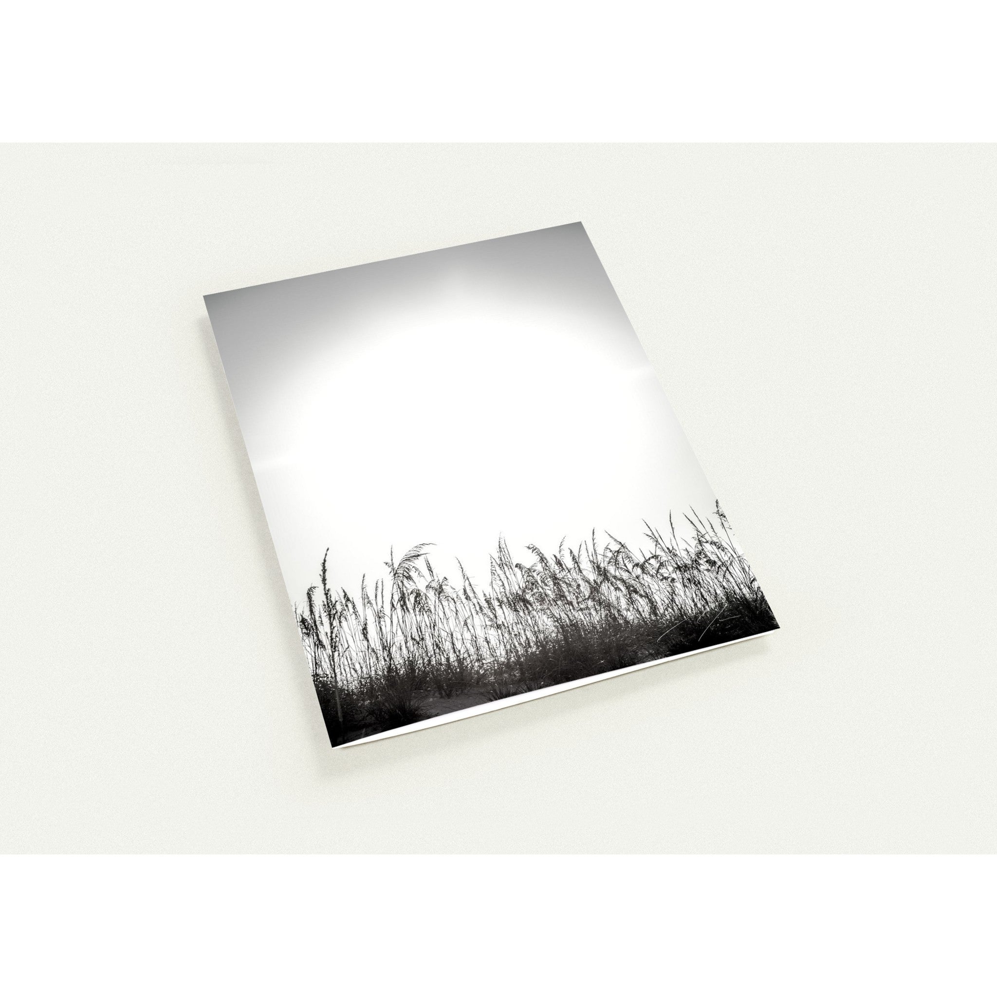 LIGHT'S TOUCH | Greeting Cards