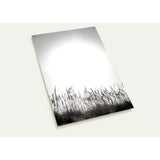 LIGHT'S TOUCH | Postcards