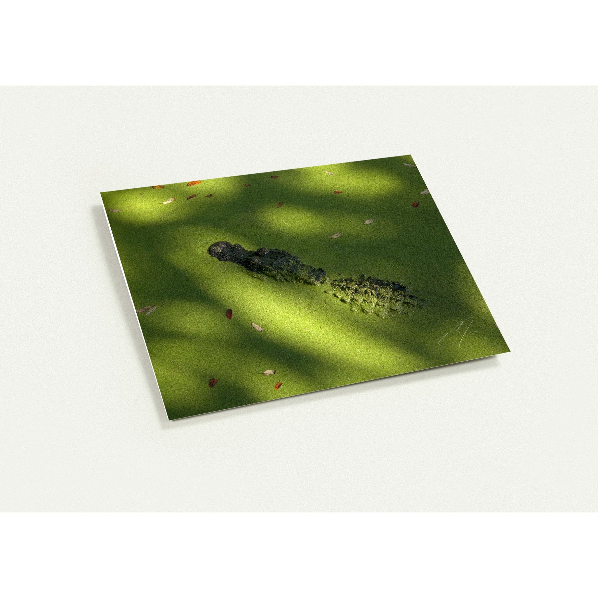 LOOM | Greeting Cards