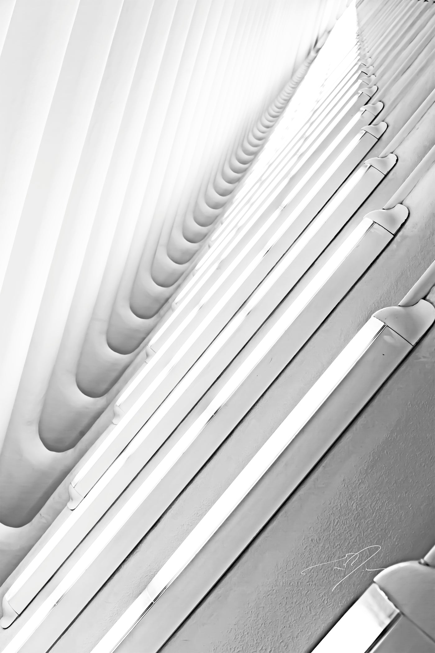 MADE OF LIGHT (2019)