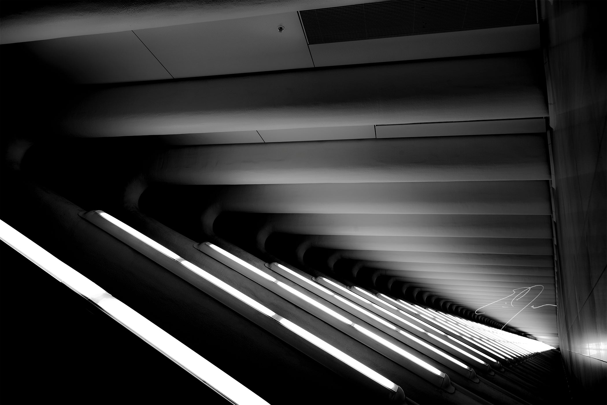 MADE OF LIGHT, No.8 (2019)