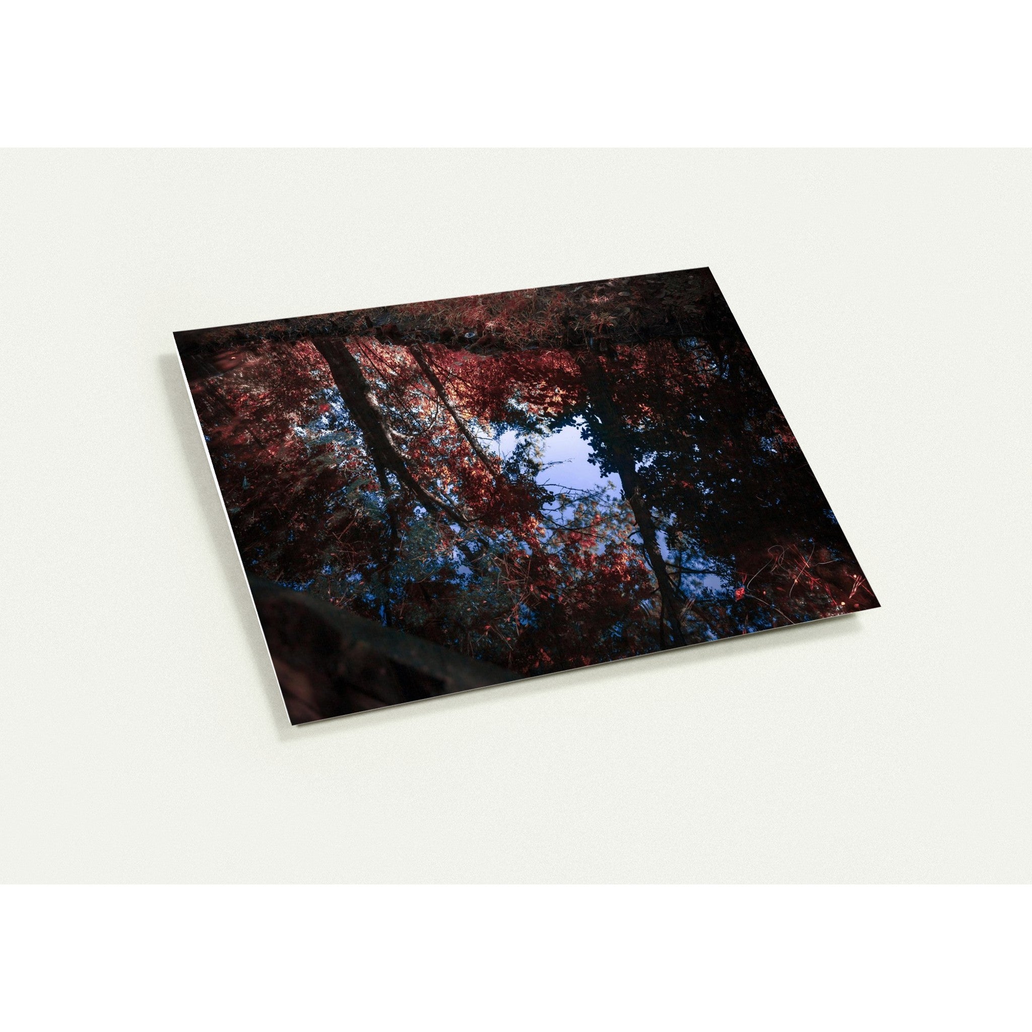 NATURE'S REFLECTION | Greeting Cards