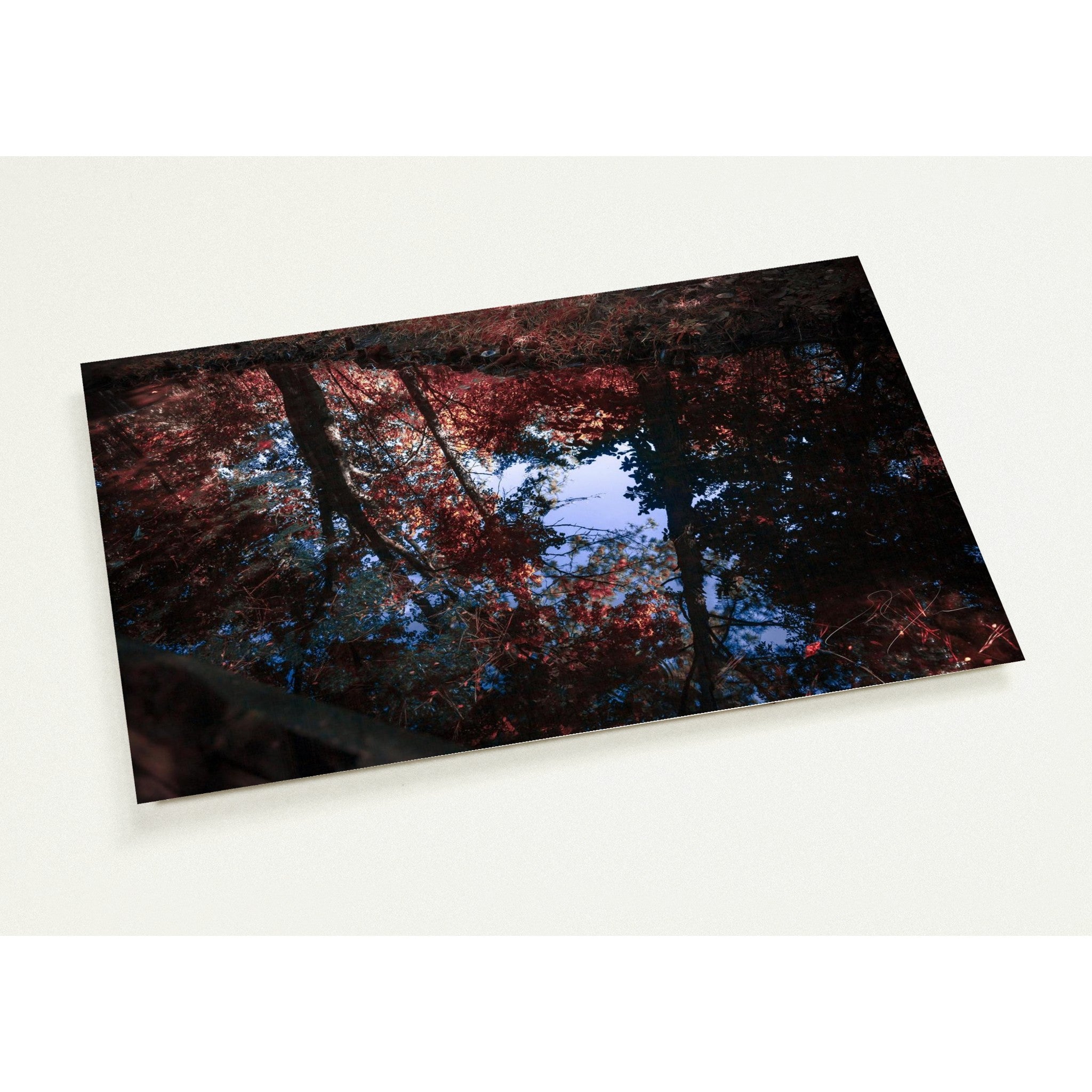 NATURE'S REFLECTION | Postcards