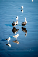 Main image OBSCURE REFLECTION