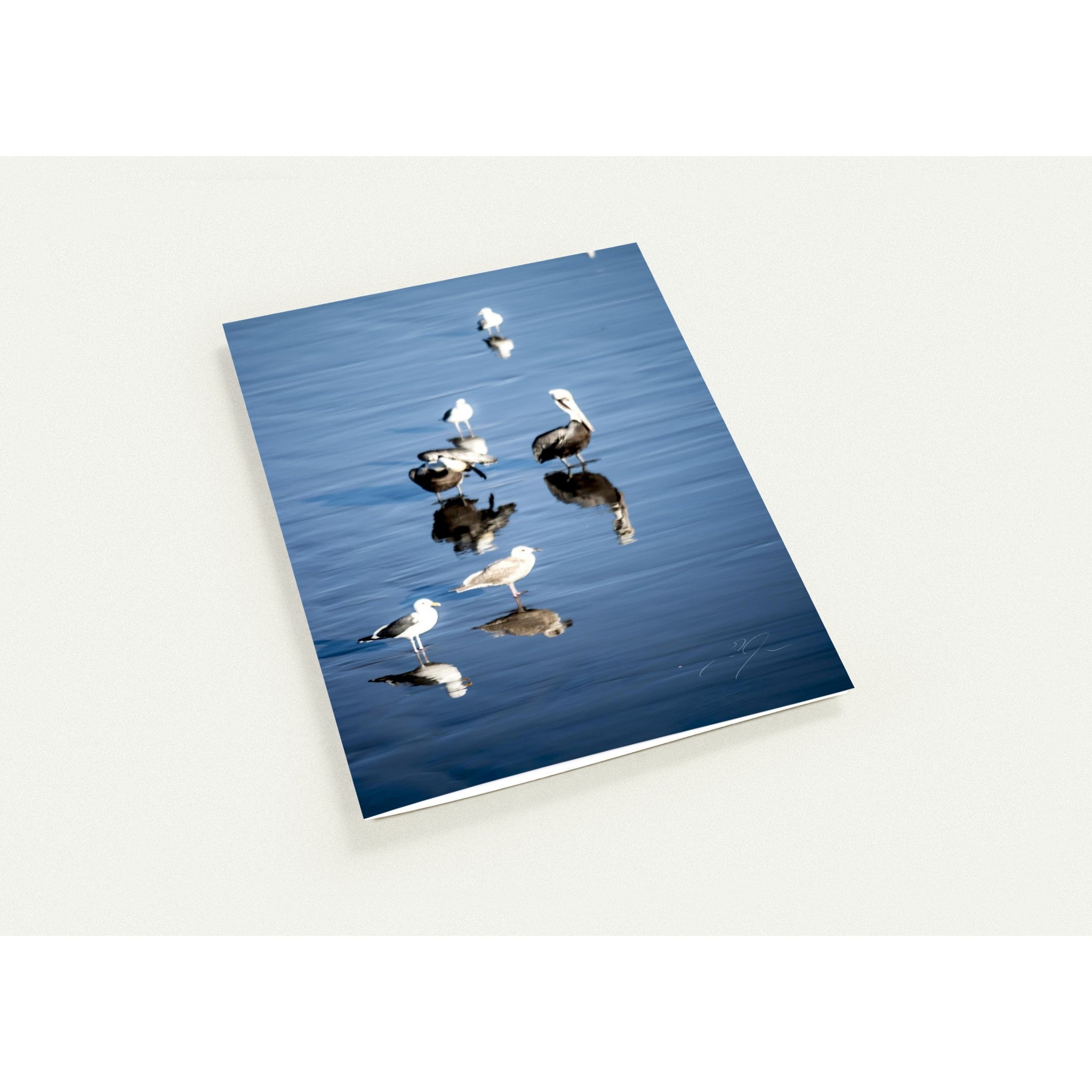 OBSCURE REFLECTION | Greeting Cards