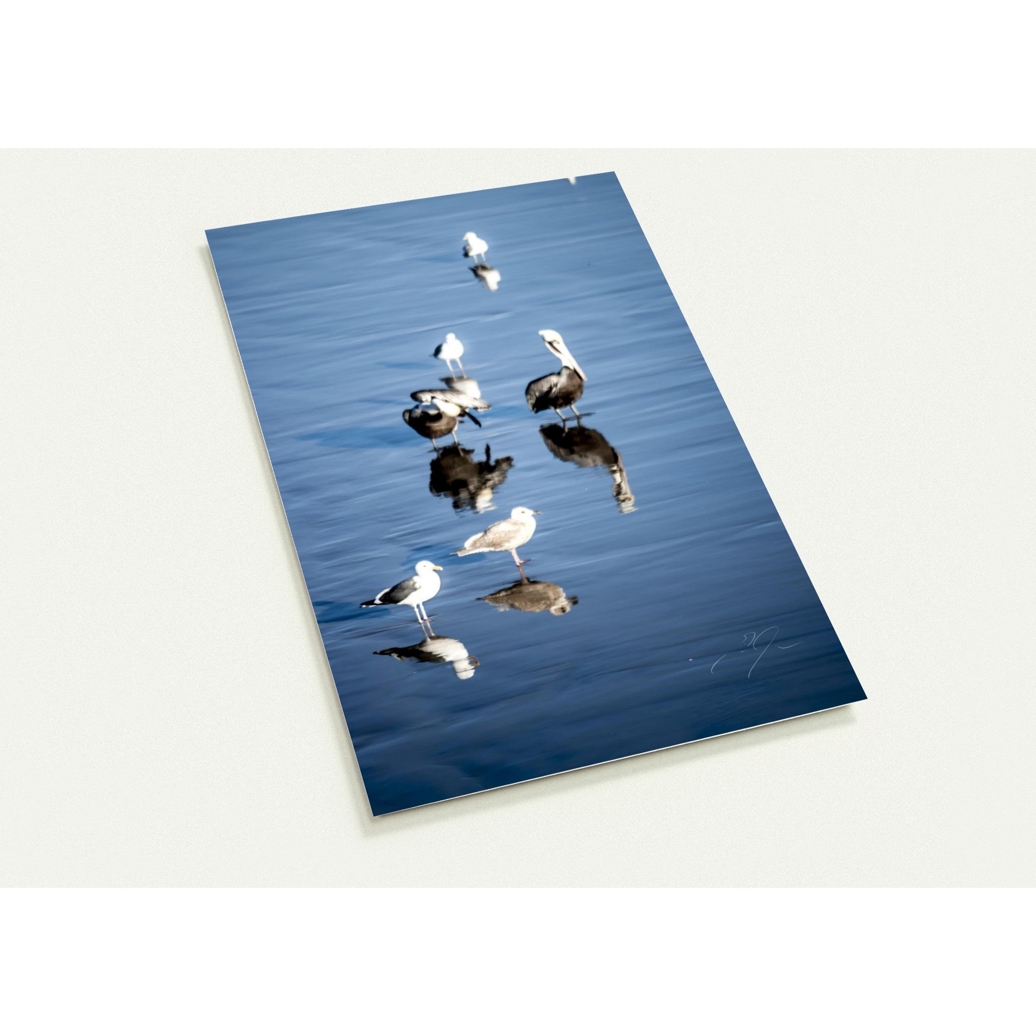OBSCURE REFLECTION | Postcards