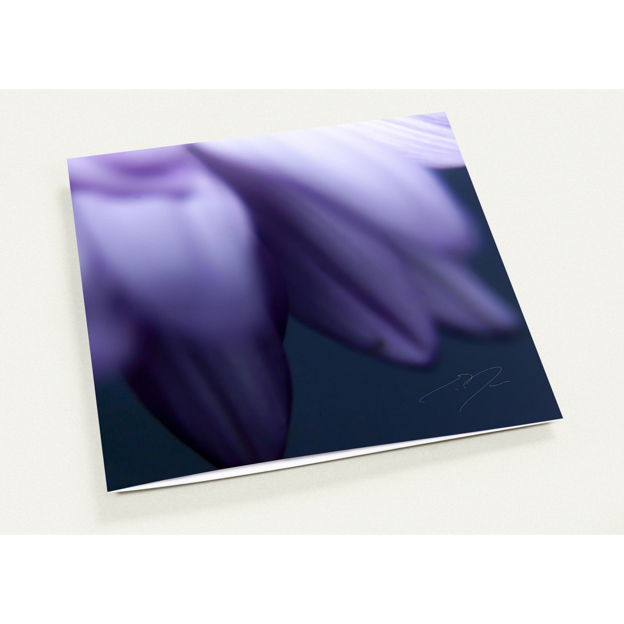 PETALS' EDGE | Greeting Cards