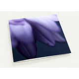PETALS' EDGE | Greeting Cards